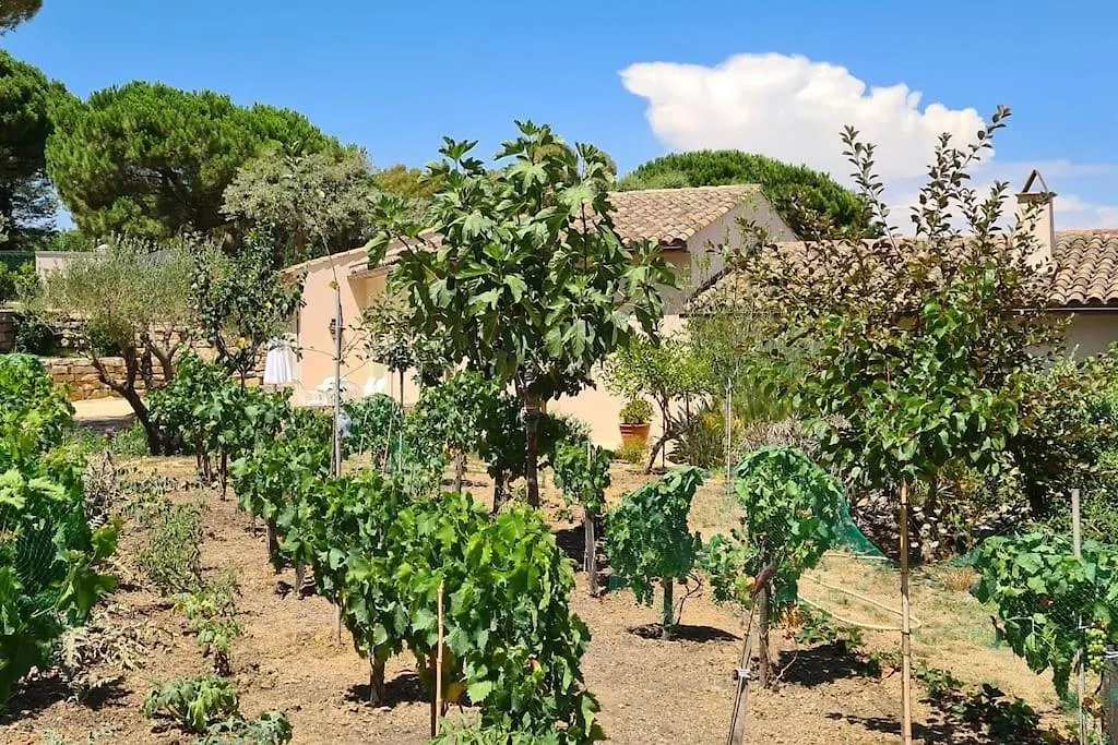 Maison Les Marres St-Tropez / Ramatuelle Saint-Tropez 0*,