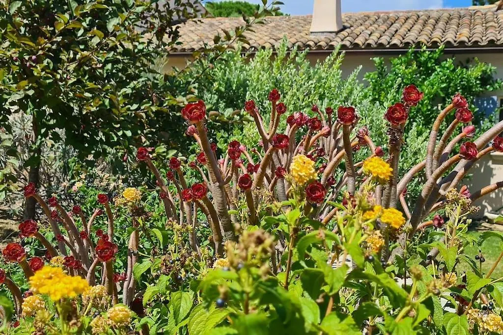 Maison Les Marres St-Tropez / Ramatuelle Saint-Tropez France